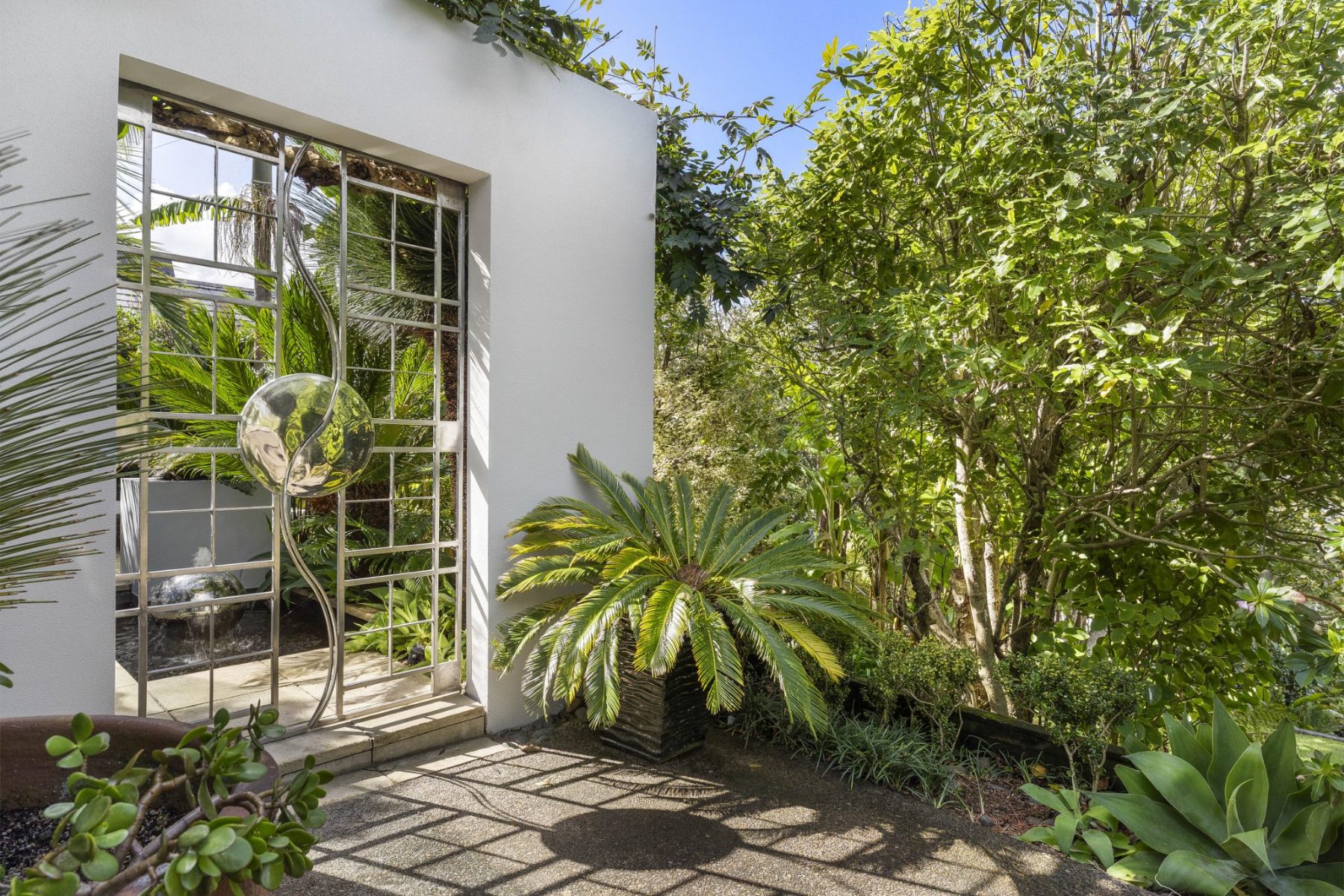 Saint Mary's Bay Pre-Sale Garden Tidy in Saint Mary's Bay, Auckland — by The Hedge Guys