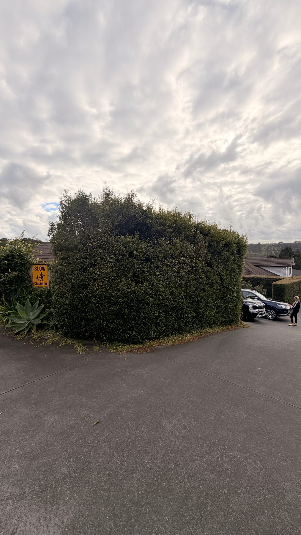 Greenhithe Pre-Sale Hedge Reduction & Garden Refresh in Greenhithe, Auckland — by The Hedge Guys