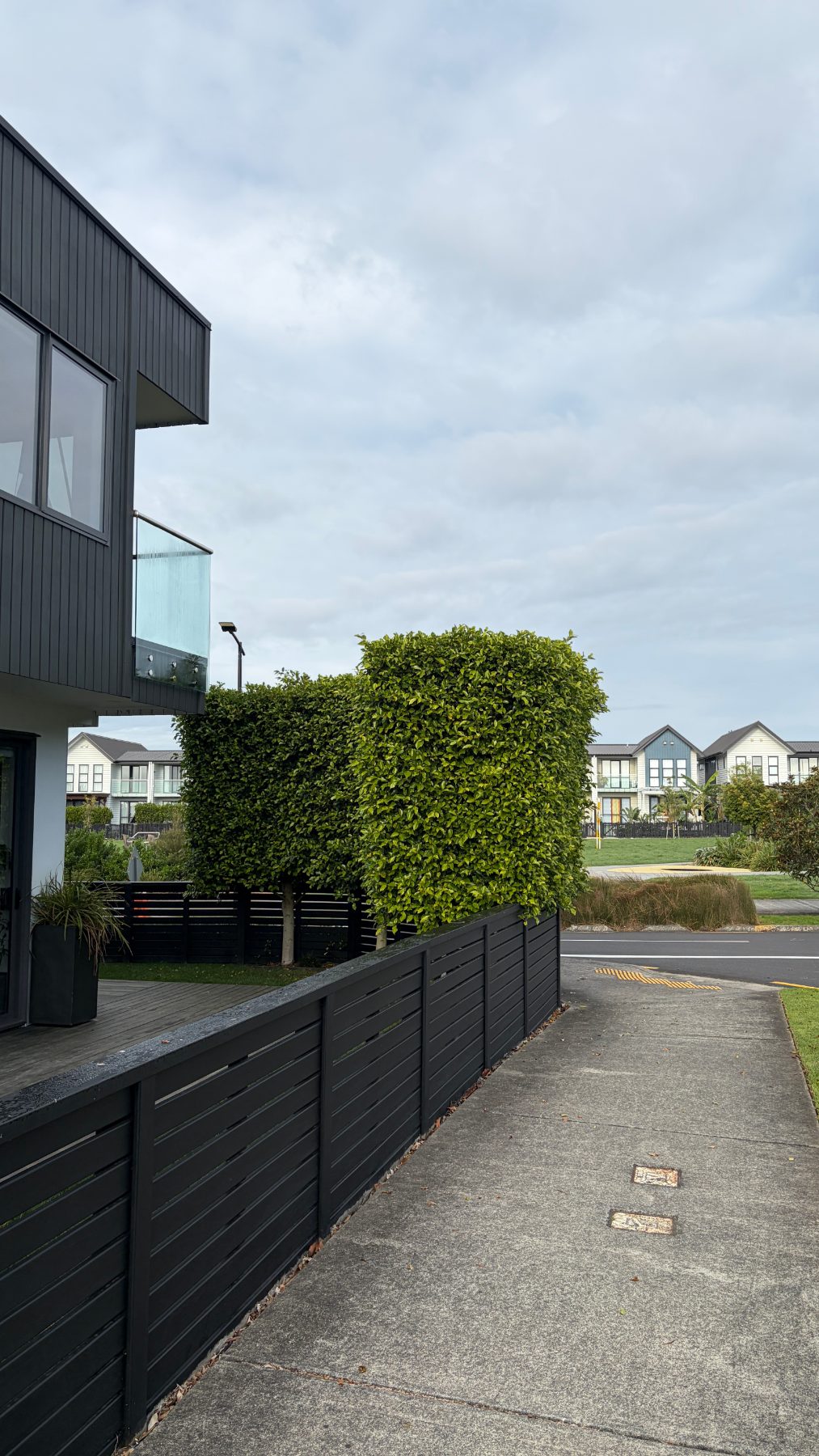 Scott Point Overgrown Hedge Reset in Scott Point, Auckland — by The Hedge Guys