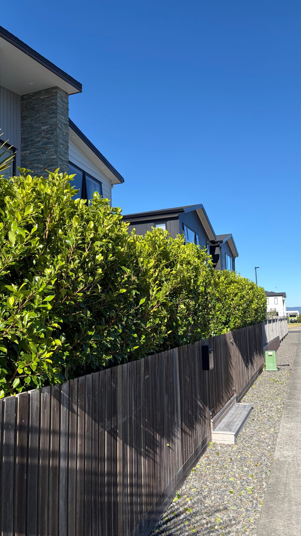 Scott Point Hedge Reshape & Clippings Removal in Scott Point, Auckland — by The Hedge Guys