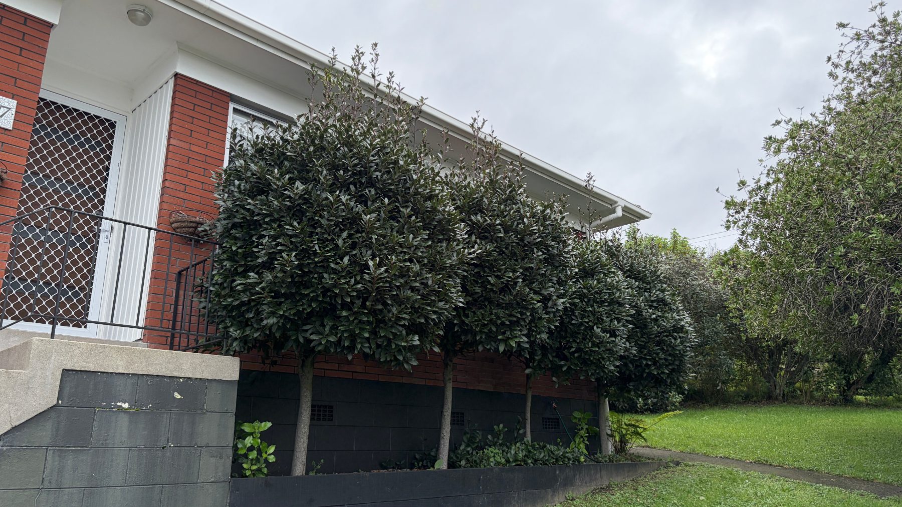 Birkenhead - Pre-Sale Property Refresh — Pre-sale property refresh in Birkenhead, Auckland