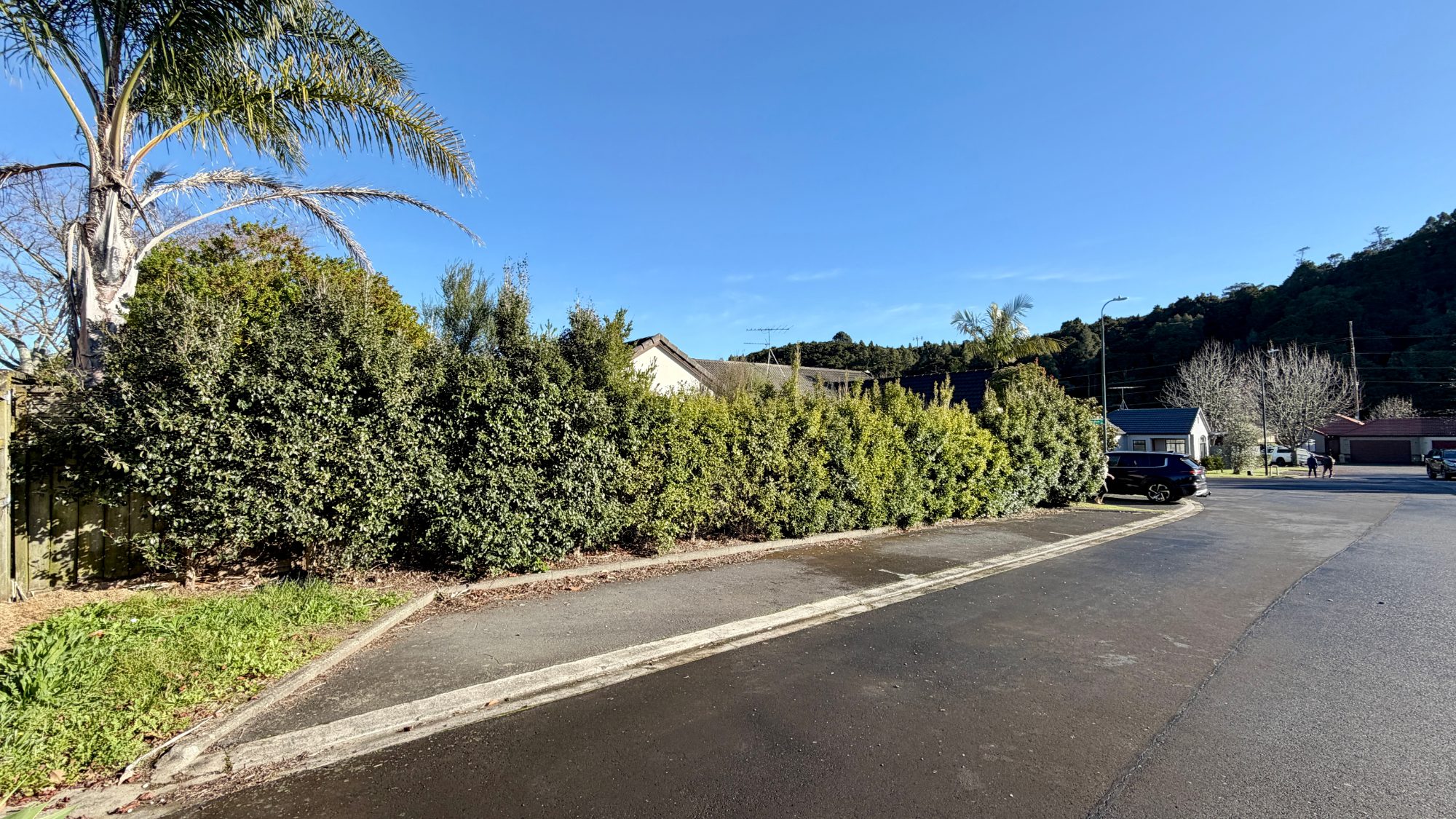 Albany Hedge Reduction & Garden Tidy — Hedge trimming in Albany, Auckland, Auckland