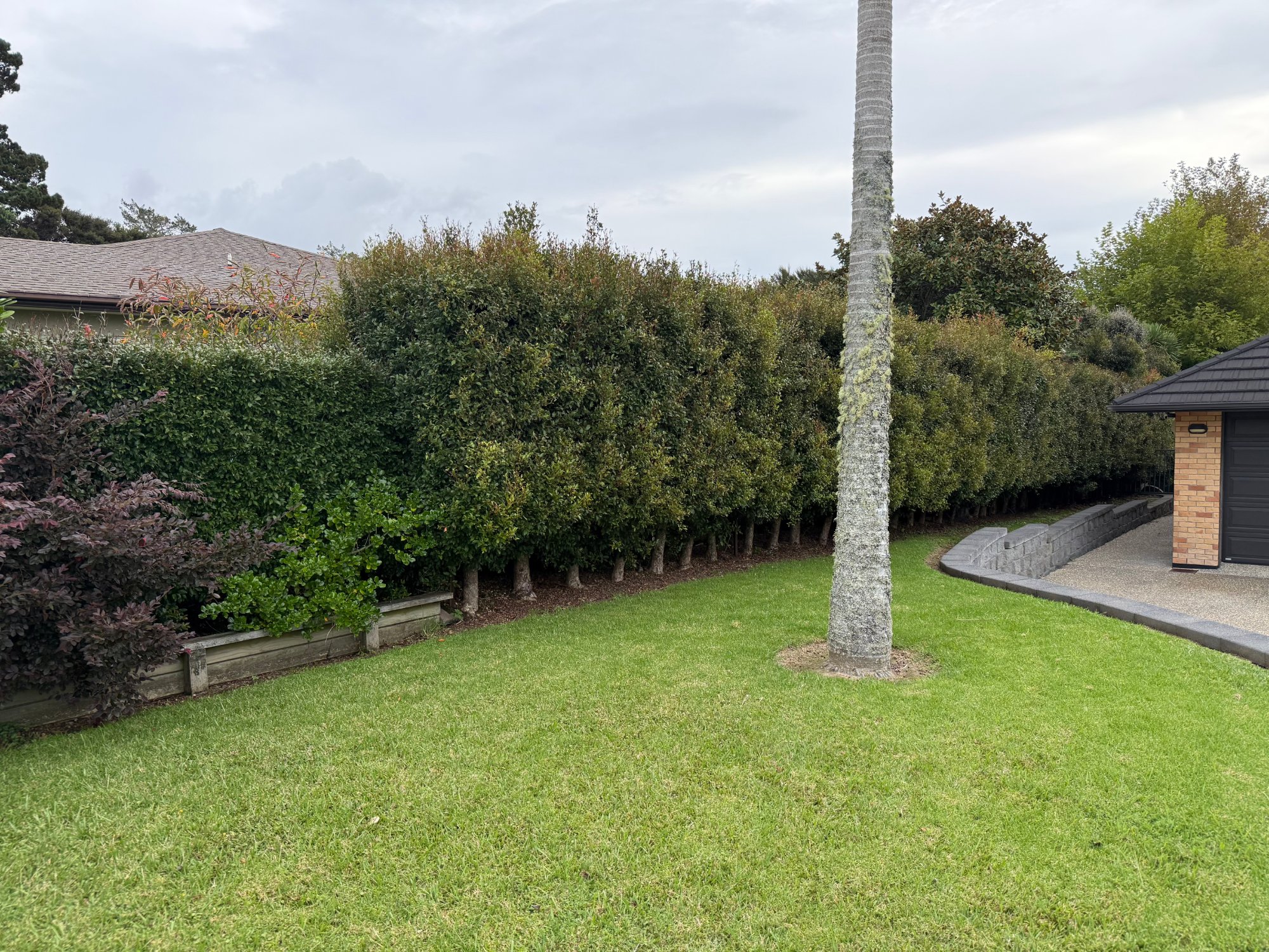 Large Hedges example