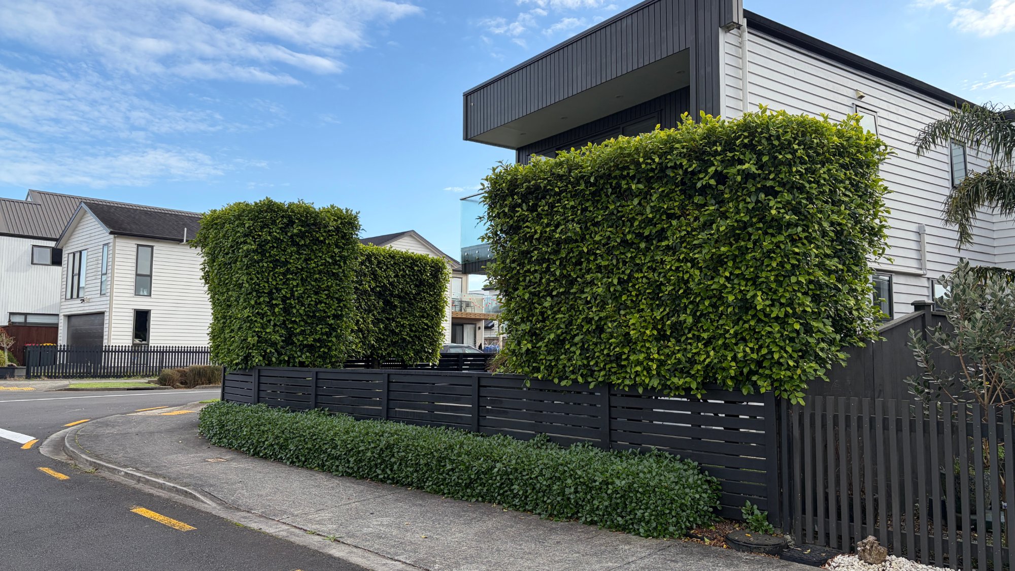 Medium Hedges example