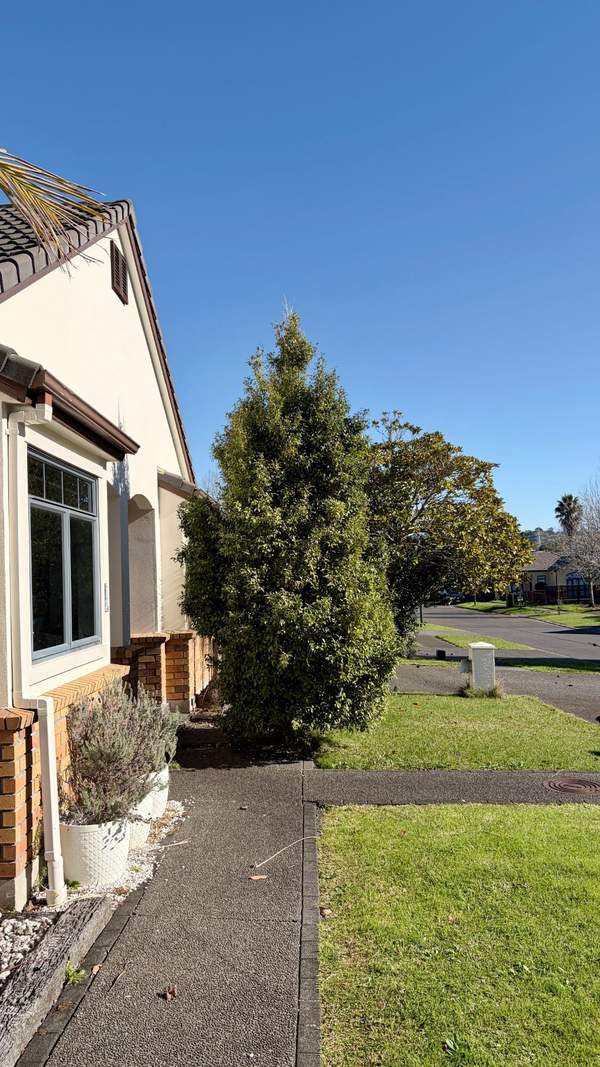 Albany Hedge Reduction & Garden Tidy in Albany, Auckland, Auckland — by The Hedge Guys