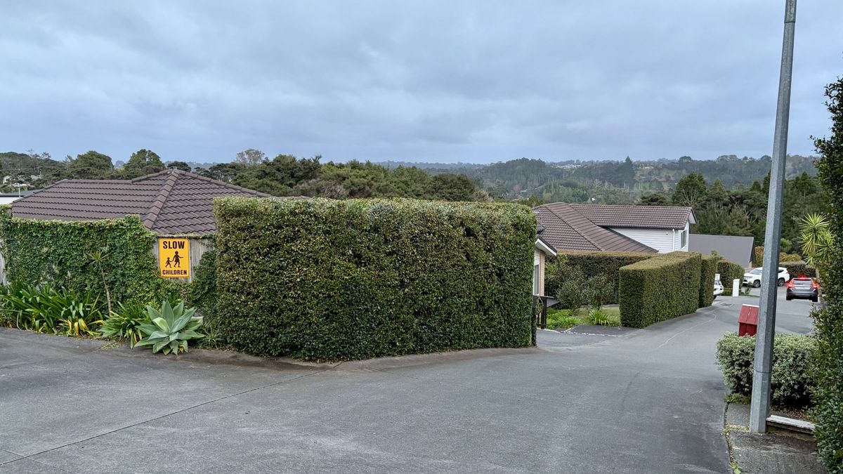 Lilly Pilly hedge trimmed by The Hedge Guys in Auckland