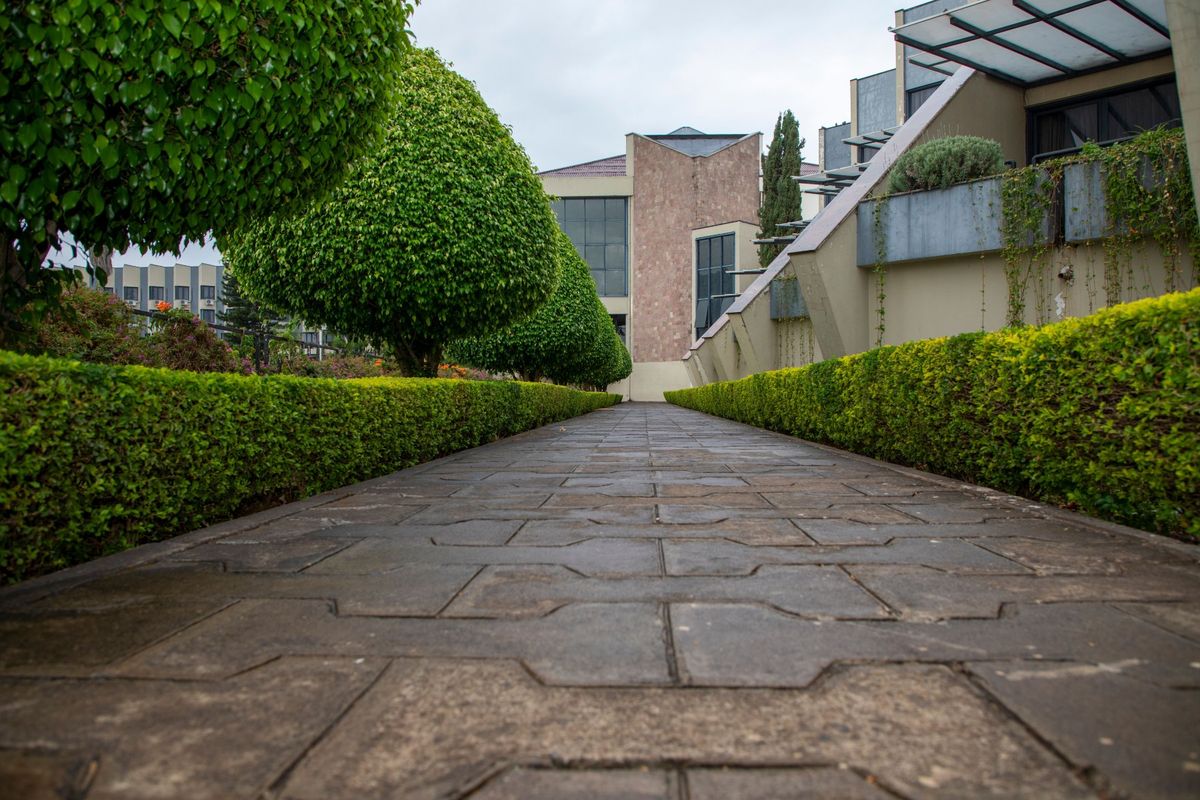 Neatly trimmed boundary hedge at a modern Auckland apartment complex