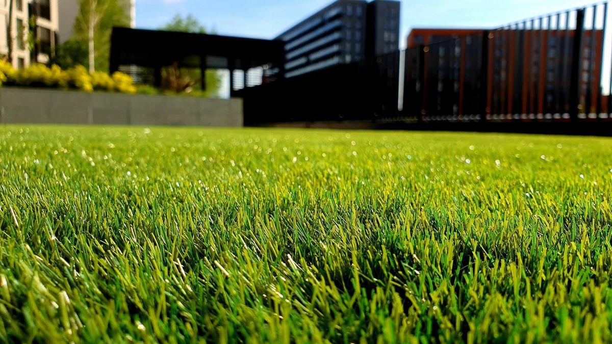 The Hedge Guys mowing a lush green lawn at an Auckland home