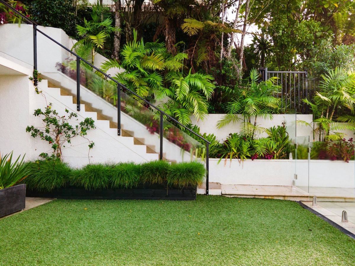 Well-maintained Auckland garden with crisp hedges and tidy beds